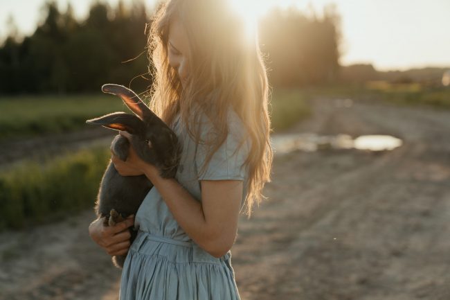 Detrazione spese veterinarie: un pet…è per sempre!